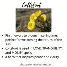 Load image into Gallery viewer, 20 USDA Certified Dried Herbs